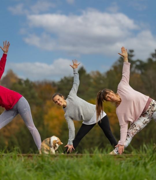 Yogaholidays in the hill country of Mühlviertel